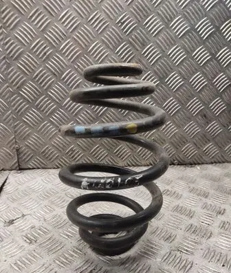 Rear coil spring