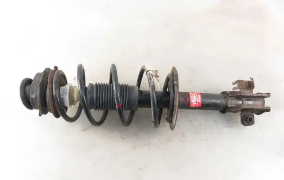 Fiat Punto (188) Front shock absorber with coil spring
