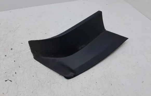 Rear/tail light trim molding