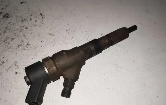 Citroen C5 Fuel injector 0445110008 9635196580
