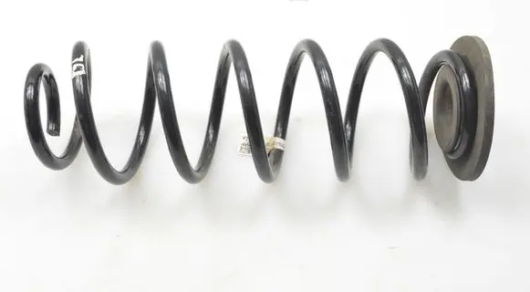 Rear coil spring