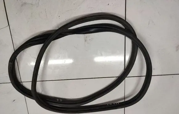 Peugeot 407 Rubber seal front coupe door 