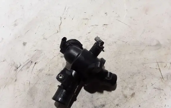 Thermostat/thermostat housing