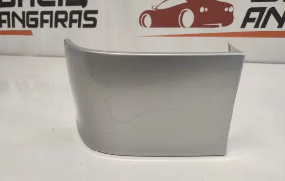 Rear/tail light trim molding