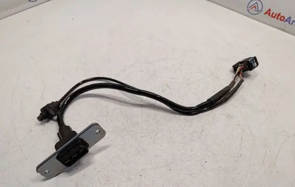 BMW X3 G01 Other wiring loom