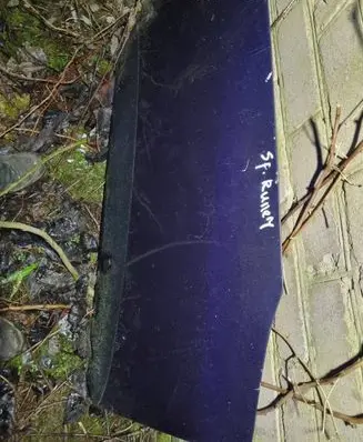Mitsubishi Space Runner Engine bonnet/hood