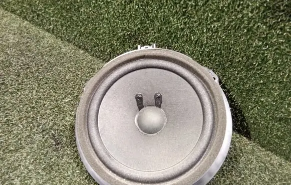 Renault Trafic III (X82) Front door speaker AA6T18808AA 497930