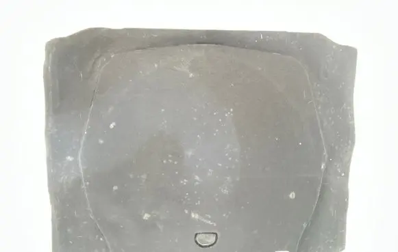 Volkswagen Tiguan Trunk/boot mat liner 5NA863463CA9
