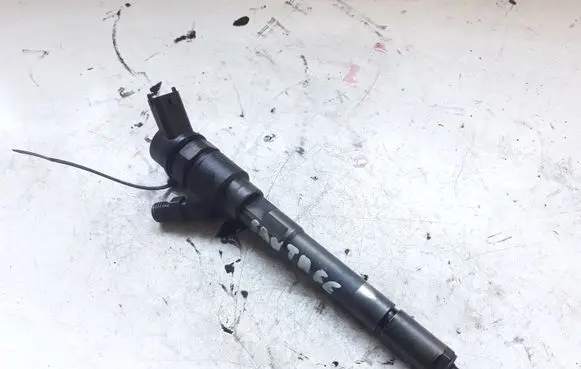 Hyundai Santa Fe Fuel injector 0445110254