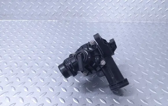 Thermostat/thermostat housing