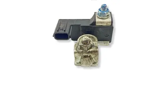 Subaru Outback (BT) Battery relay fuse 