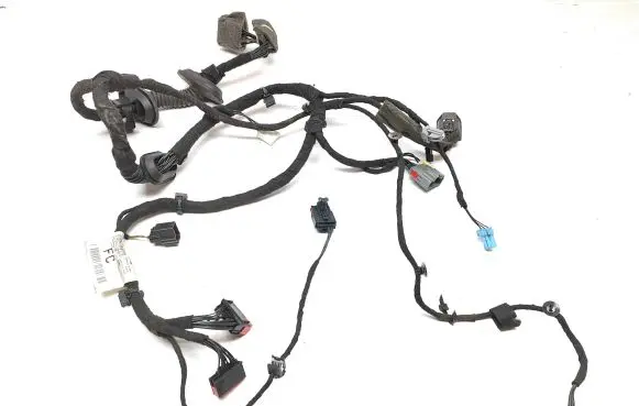 Jaguar XF X250 Front door wiring loom CX2314B121
