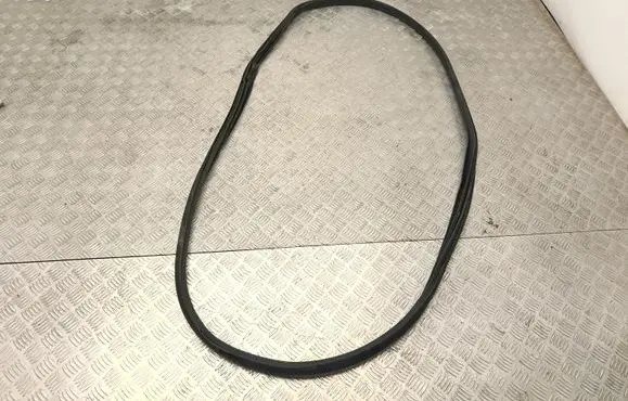 Tesla Model Y Juniper Front door rubber seal