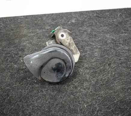 Volkswagen PASSAT B6 Horn signal E1000209