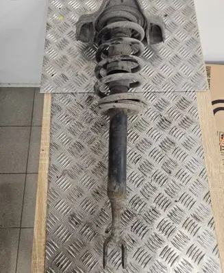 Volkswagen PASSAT B5.5 Front shock absorber/damper 