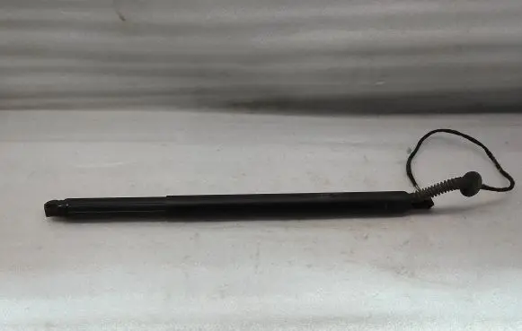 Tailgate/trunk strut/damper