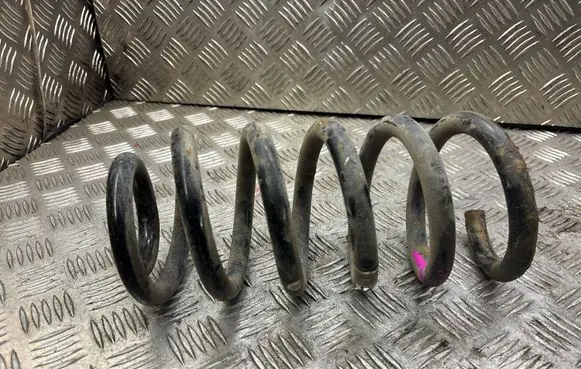Opel Insignia A Rear coil spring 