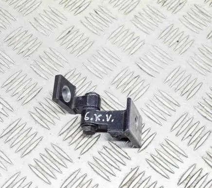 BMW X3 G01 Rear door lower hinge 7397383