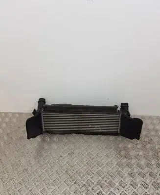 Renault Alaskan Intercooler radiator 144615JL2A EH940003 144624JA1B
