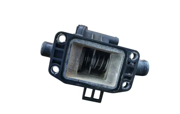 Thermostat/thermostat housing