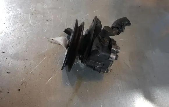 Nissan Serena Power steering pump