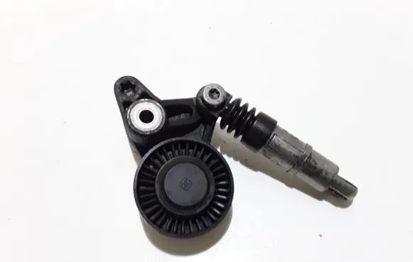 Volkswagen Phaeton Generator/alternator belt tensioner 059145201F
