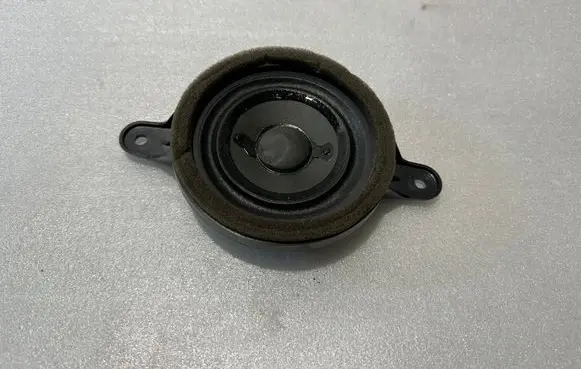 Front door speaker