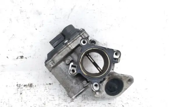 EGR valve