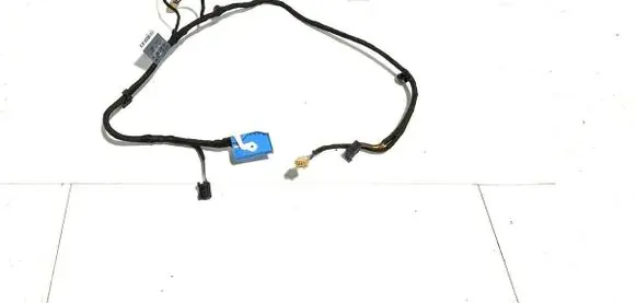 Front door wiring loom