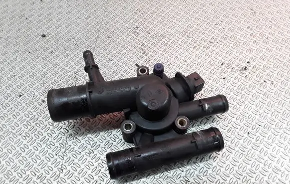 Thermostat/thermostat housing