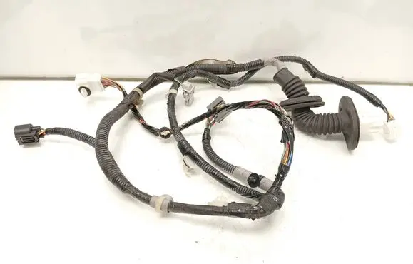 Front door wiring loom