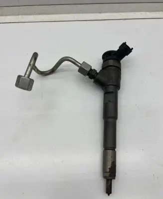 Renault Kangoo II Fuel injector 0445110485 0417 41816