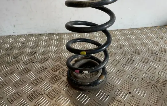Hyundai Santa Fe Rear coil spring