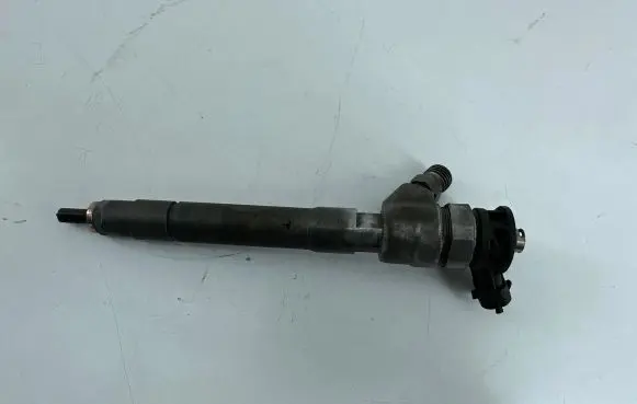 Nissan Qashqai Fuel injector 0445110546 2674205R 75503