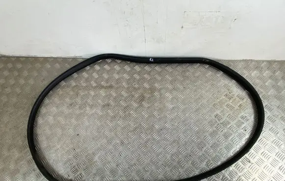 Renault Arkana Rear door rubber seal (on body) 