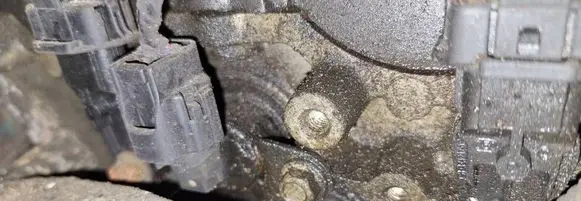 Chevrolet Captiva Camshaft pulley/ VANOS 