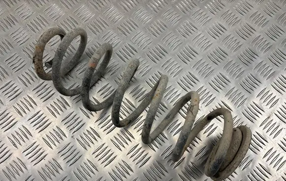 Rear coil spring