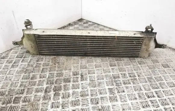 Nissan Qashqai Intercooler radiator G3062002