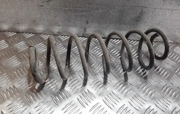 Ford Fiesta Rear coil spring