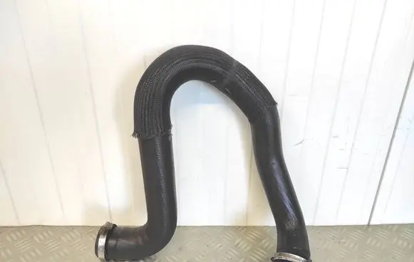 Peugeot Expert Intercooler hose/pipe 9806788380
