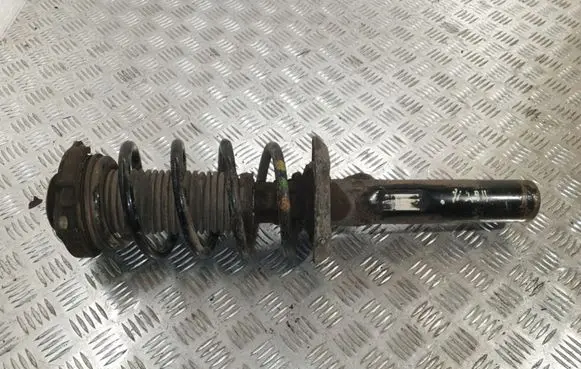 Volkswagen Golf Plus Front shock absorber/damper 3C0413031