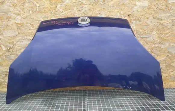 Fiat Qubo Engine bonnet/hood QWER