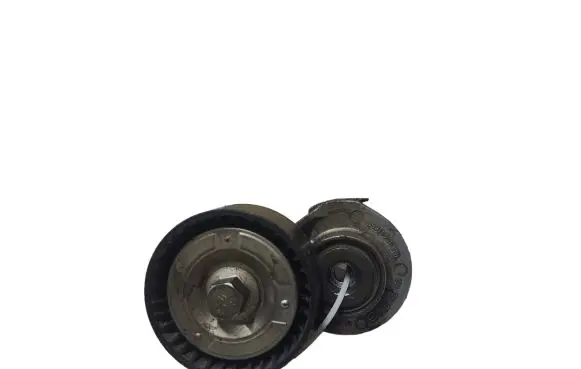 Fiat Ducato Timing belt/chain tensioner INAF611806