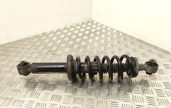 Citroen DS7 Crossback Rear shock absorber with coil spring 9829356780
