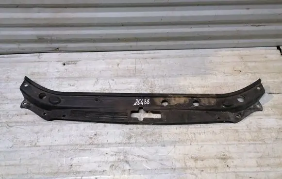 Engine bonnet/hood lock trim molding