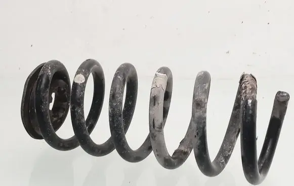 Rear coil spring