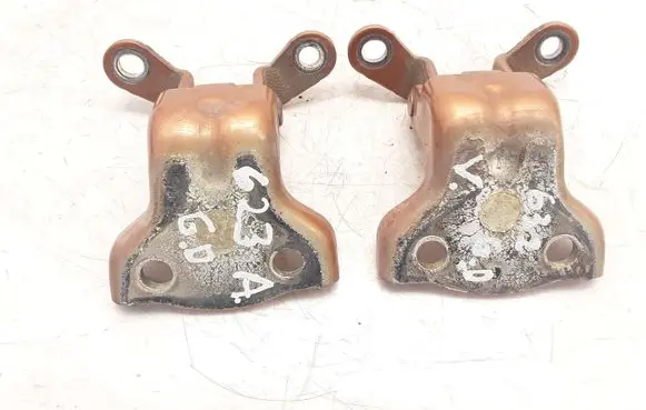 Chevrolet Captiva Rear door hinge set 94U