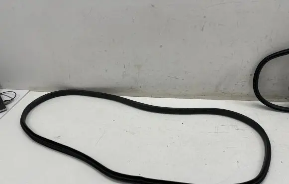 Ford Puma Rear door rubber seal (on body) L1TBS253A1011AB