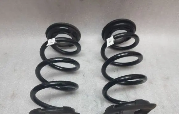Tesla Model 3 Rear coil spring 104447201E