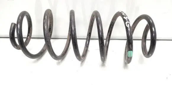 Rear coil spring